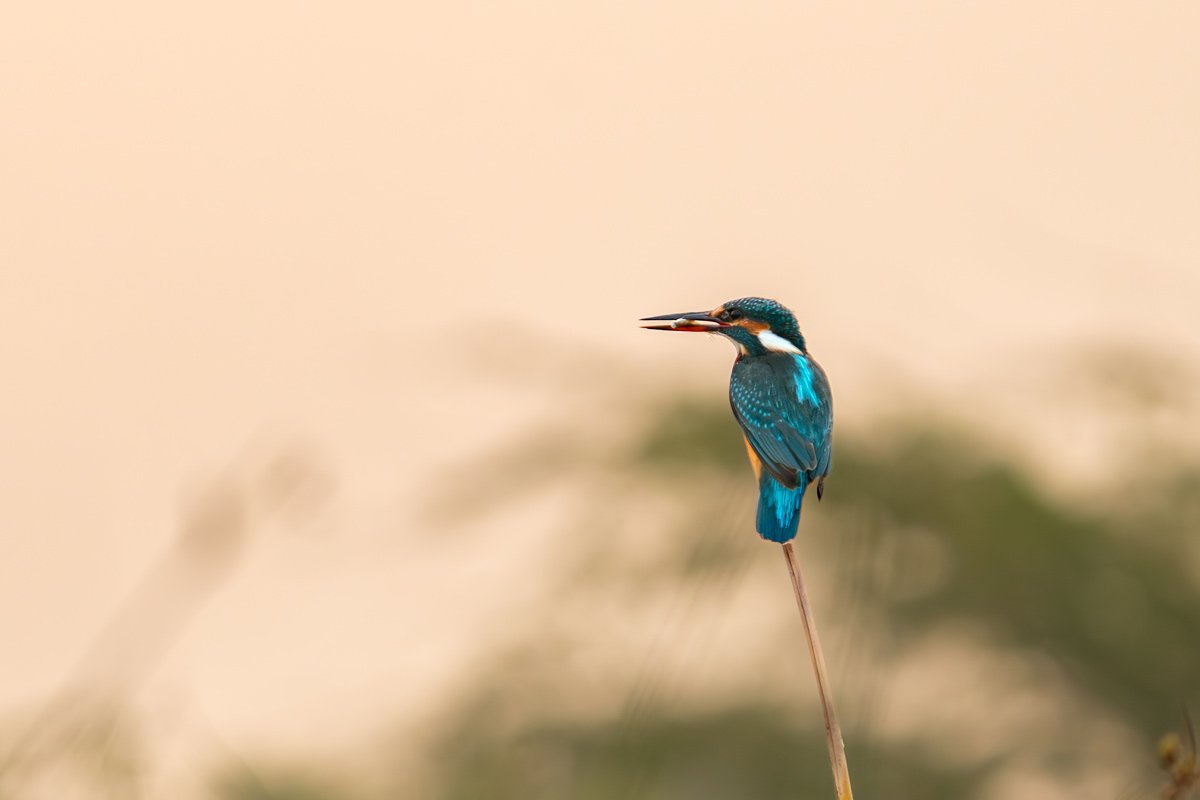 Fishing Flash Kavya Ahmedabad Gujarat Creative Hut