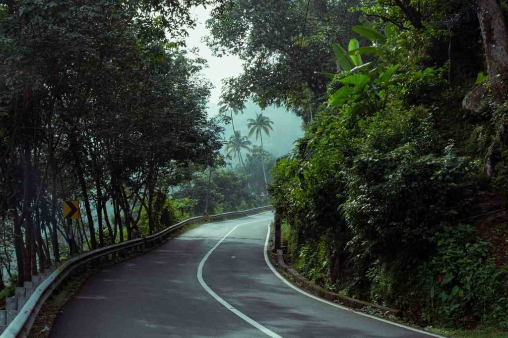 A road with green surroundings