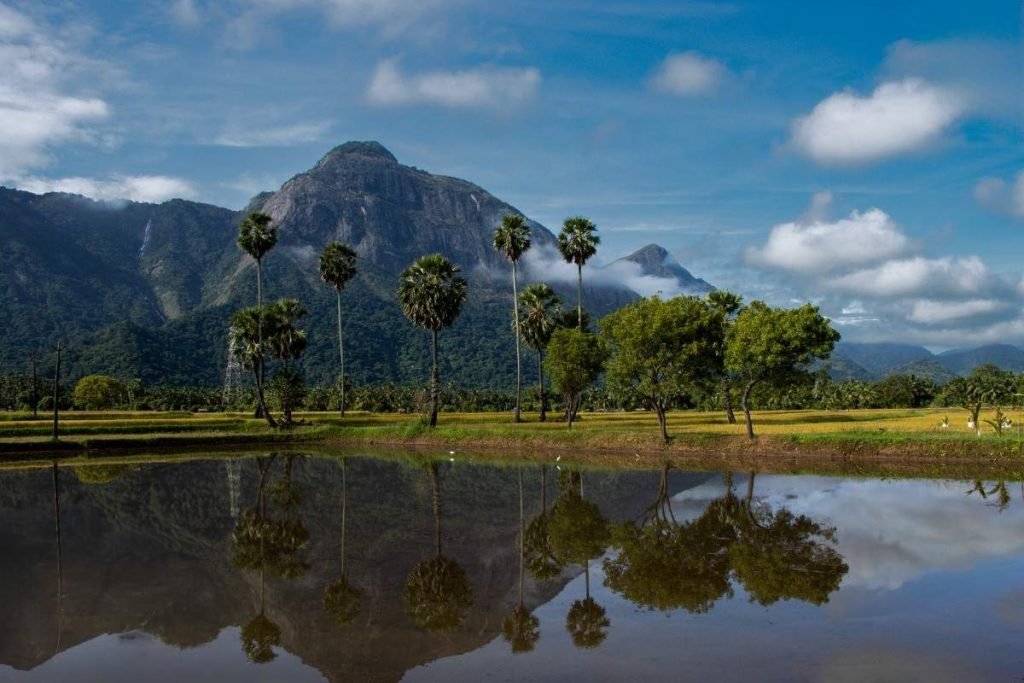 Mountains, coconut trees, blue sky reflecting in lake.