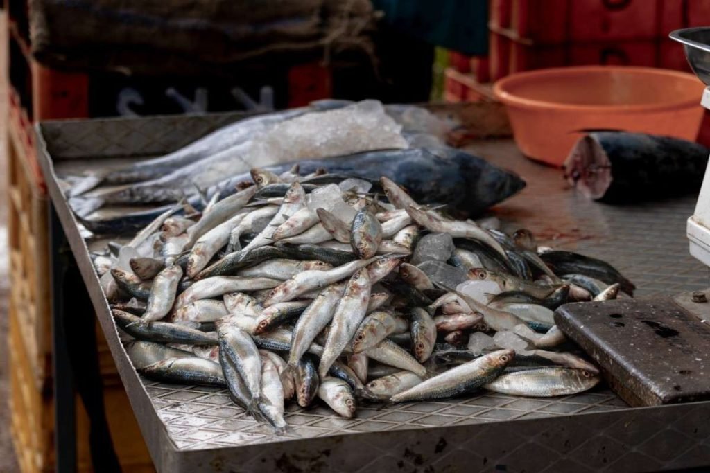 Plenty of fish on table.