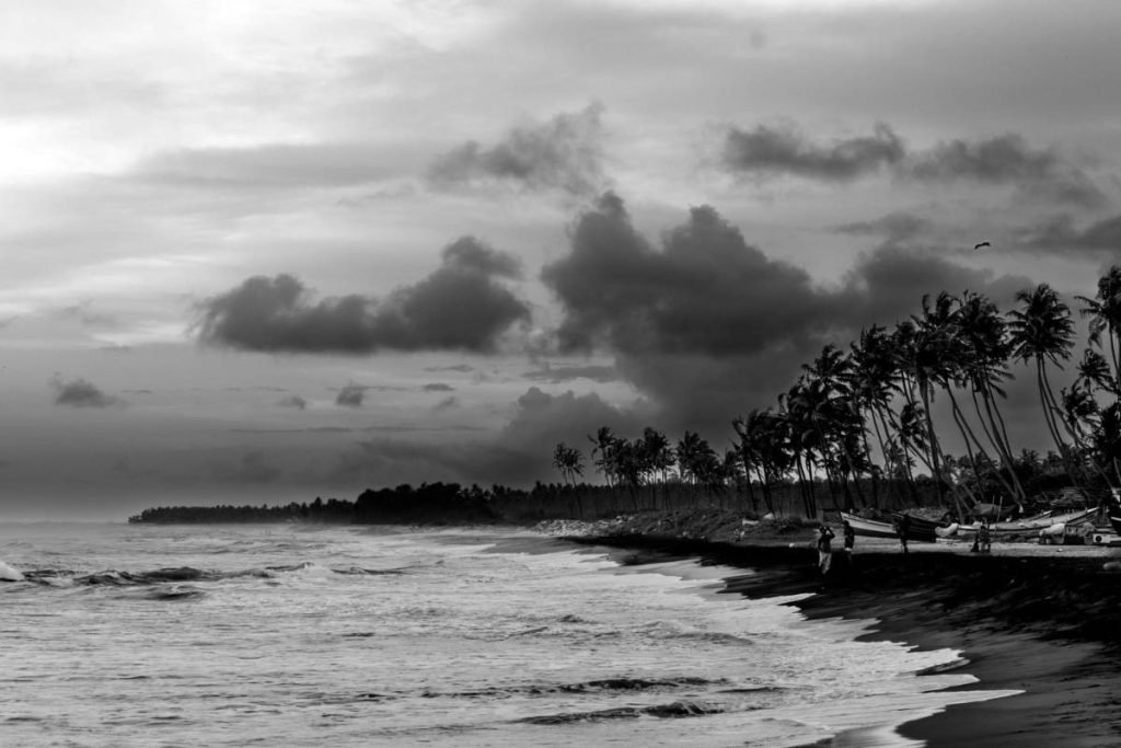 sea's whisper where the ocean and shore meet.