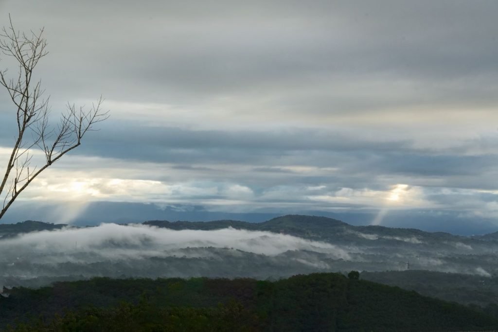 Sun rays through fog