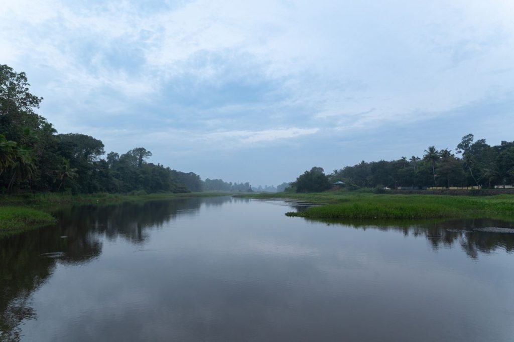 Lake surrounded by greenery