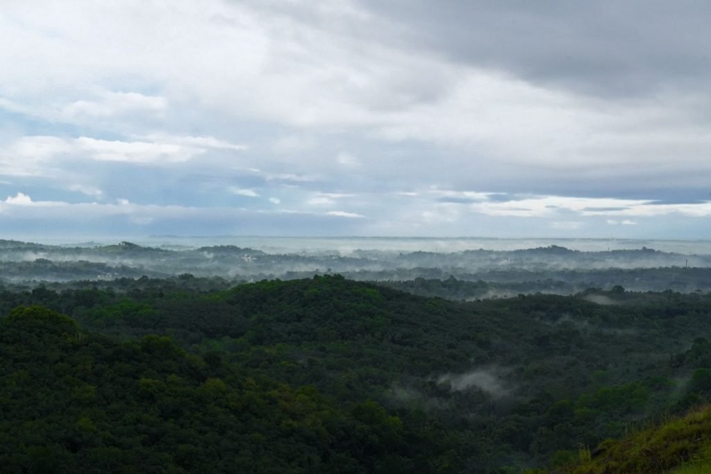 Lush green hilltop view
