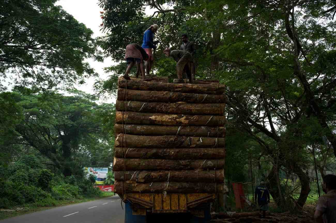 The four people settled the one long, which they dragged up with rope.