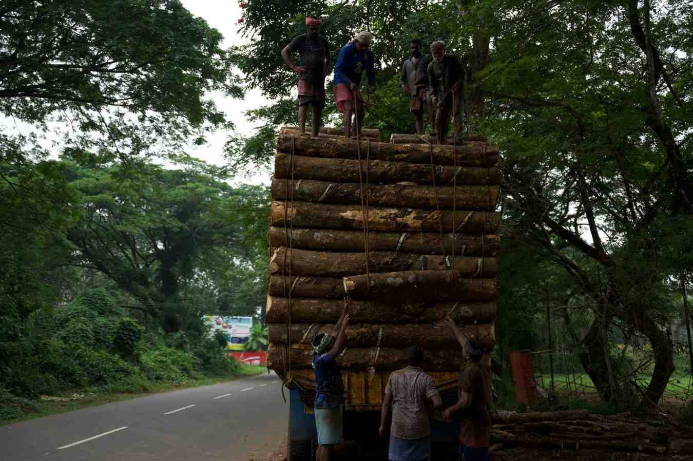 All the seven people lifting the one log with the help of rope.
