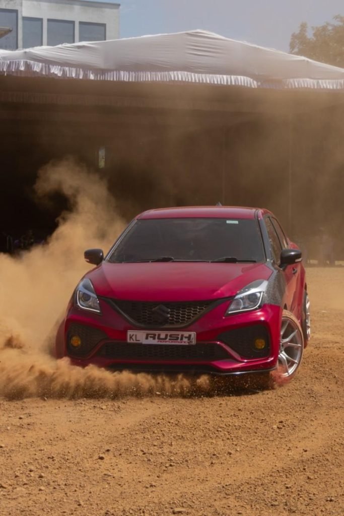 Silent gaze eyes of baleno drifting in sand
