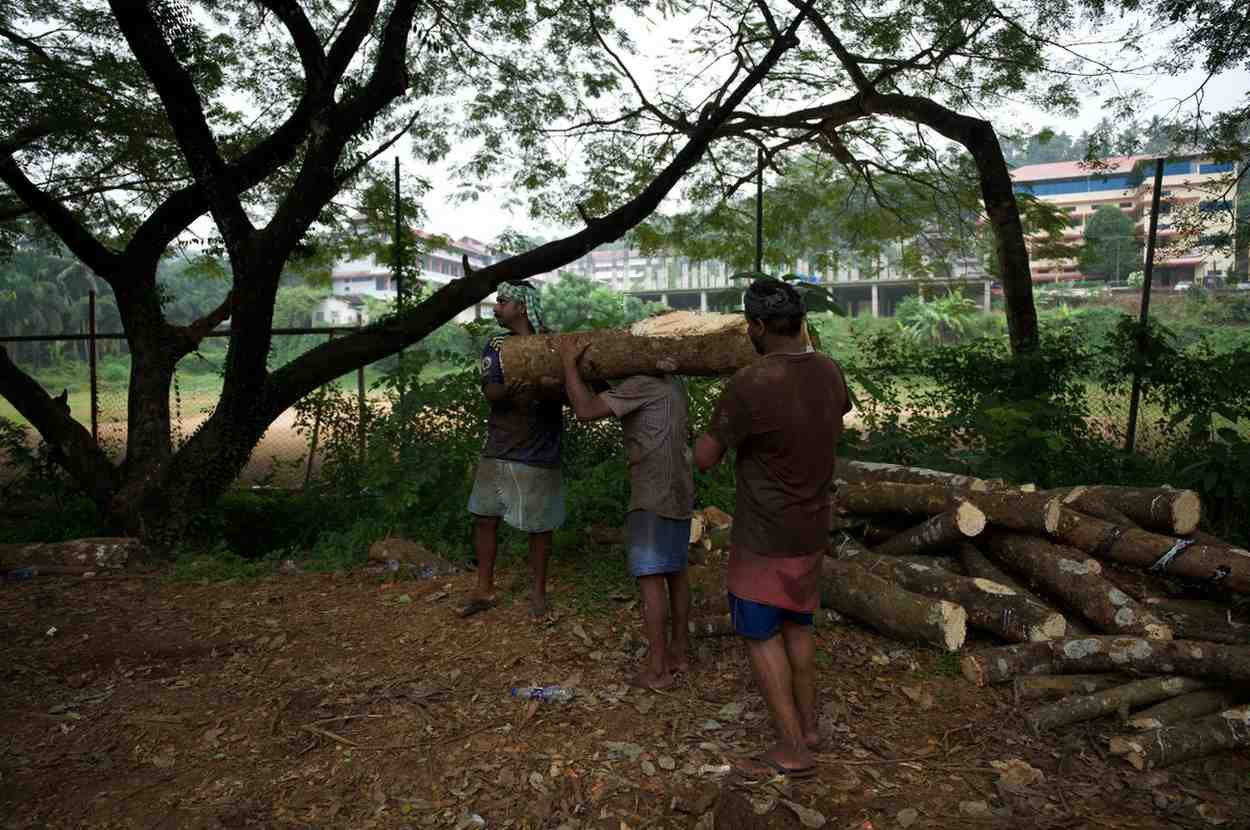Two people lifting a log and giving to one person