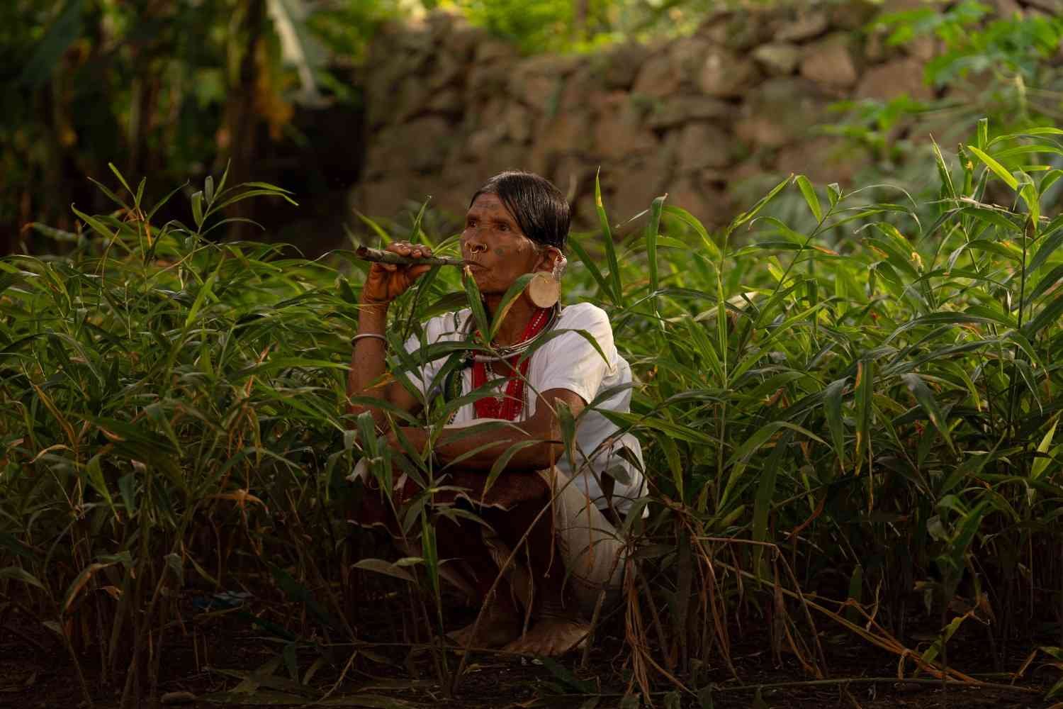 a old lady sitting in between bamboo plands