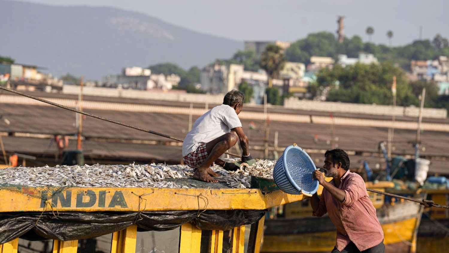a old man is drying fishes on top of his fishing boat