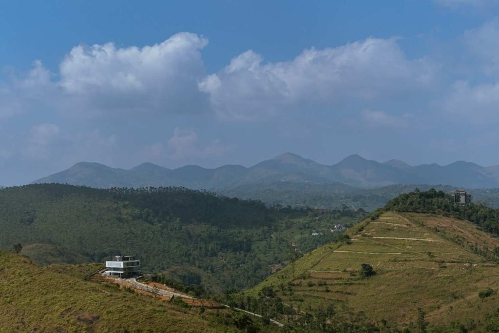 greenery found in landscape
