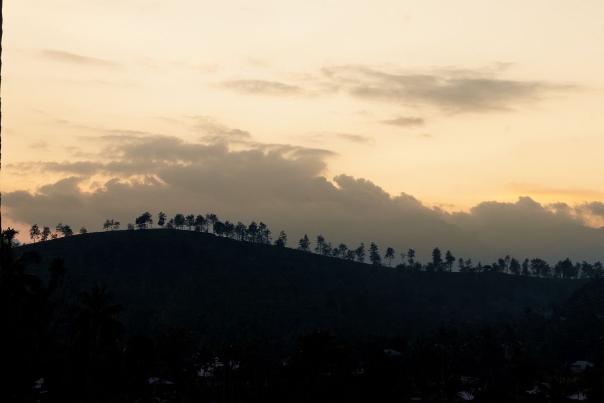 Trees on line in the mountains making silhouettes from background sunshine.