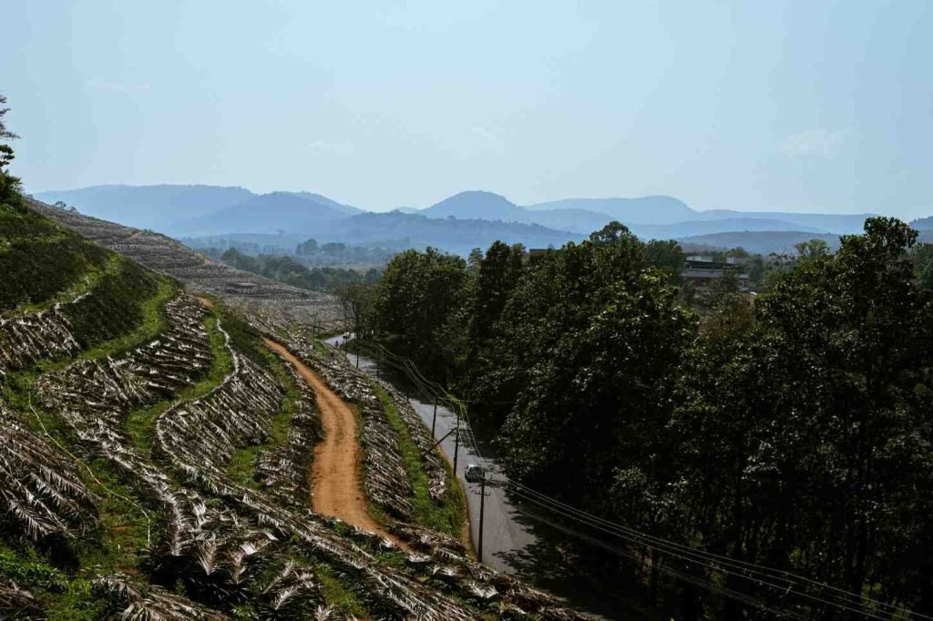 a scenic terrace landscape