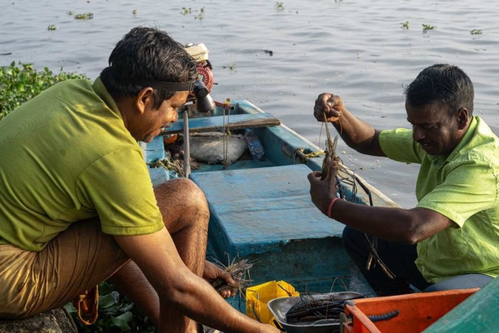 A Quiet ExchangeA fisherman smiles while inspecting his fresh shrimp catch.