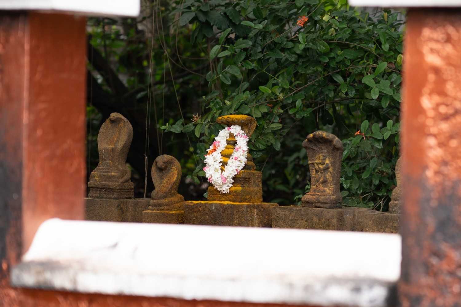 Grove of Snakes Thirunakkara Temple