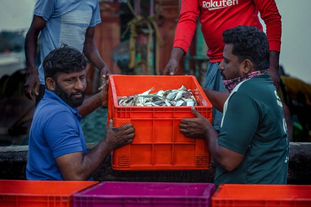 Fishermen unloading the fish from the boat.